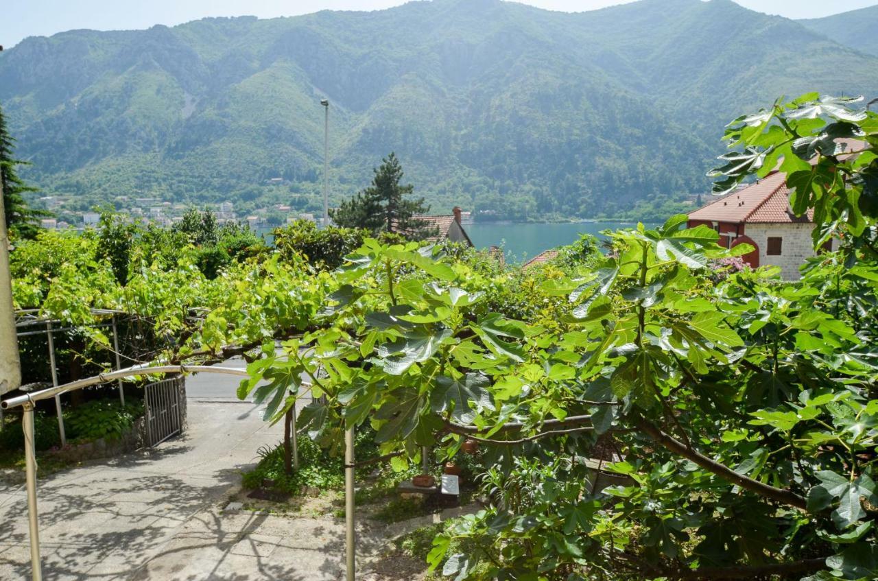 Apartments Nik Kotor Extérieur photo